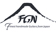 FGN Guitars